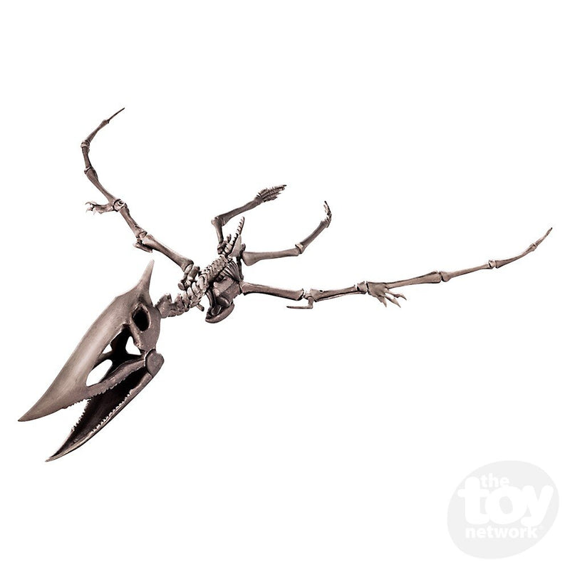 The Toy Network KidzLabs Dig A Pteranodon Skeleton
