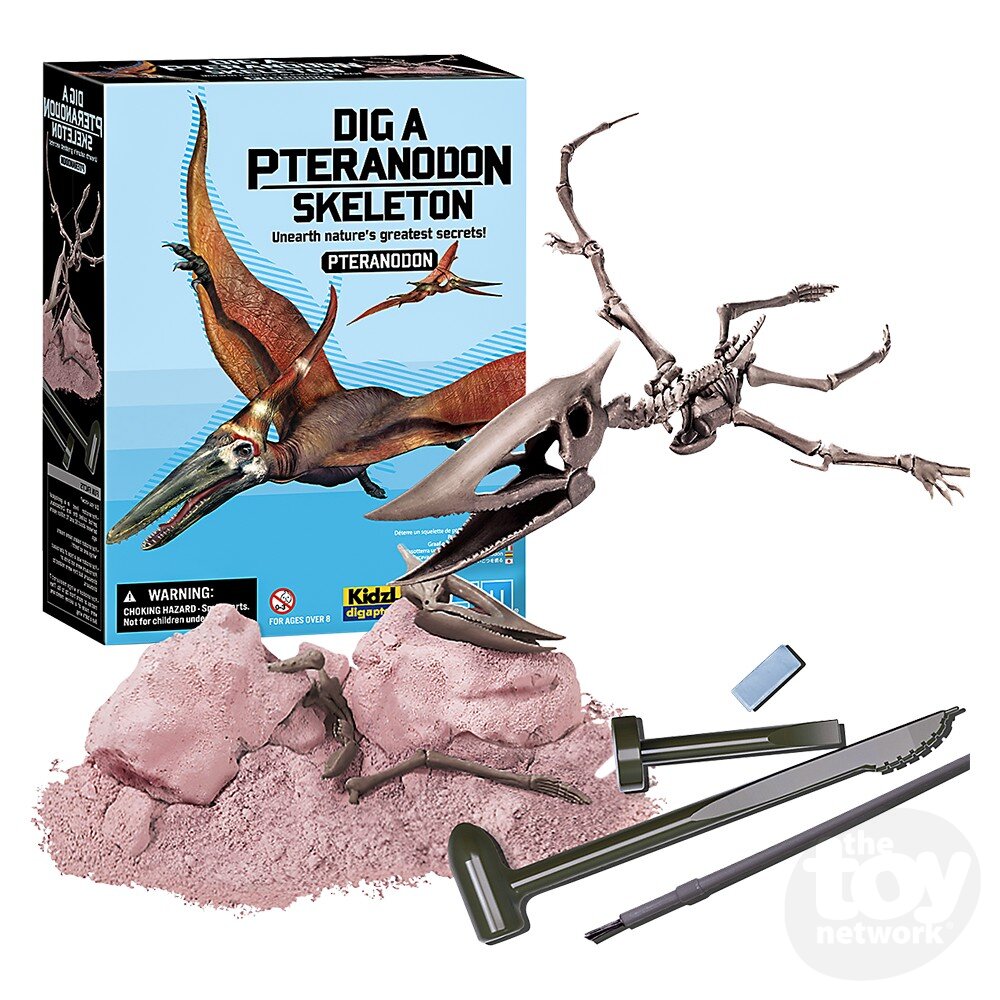 The Toy Network KidzLabs Dig A Pteranodon Skeleton
