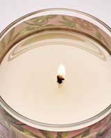 Bath & Body Works Single Wick Candle - Warm Summer Evening
