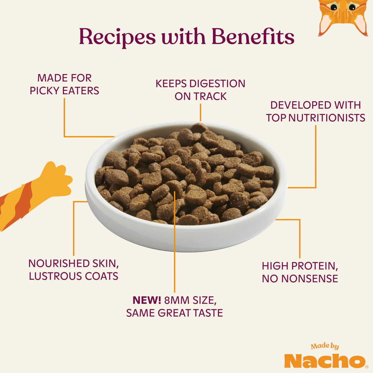 Made By Nacho Bone Broth Infused Kibble Sustainably Caught Salmon & Pumpkin Recipe Cat Food - 4 lb.