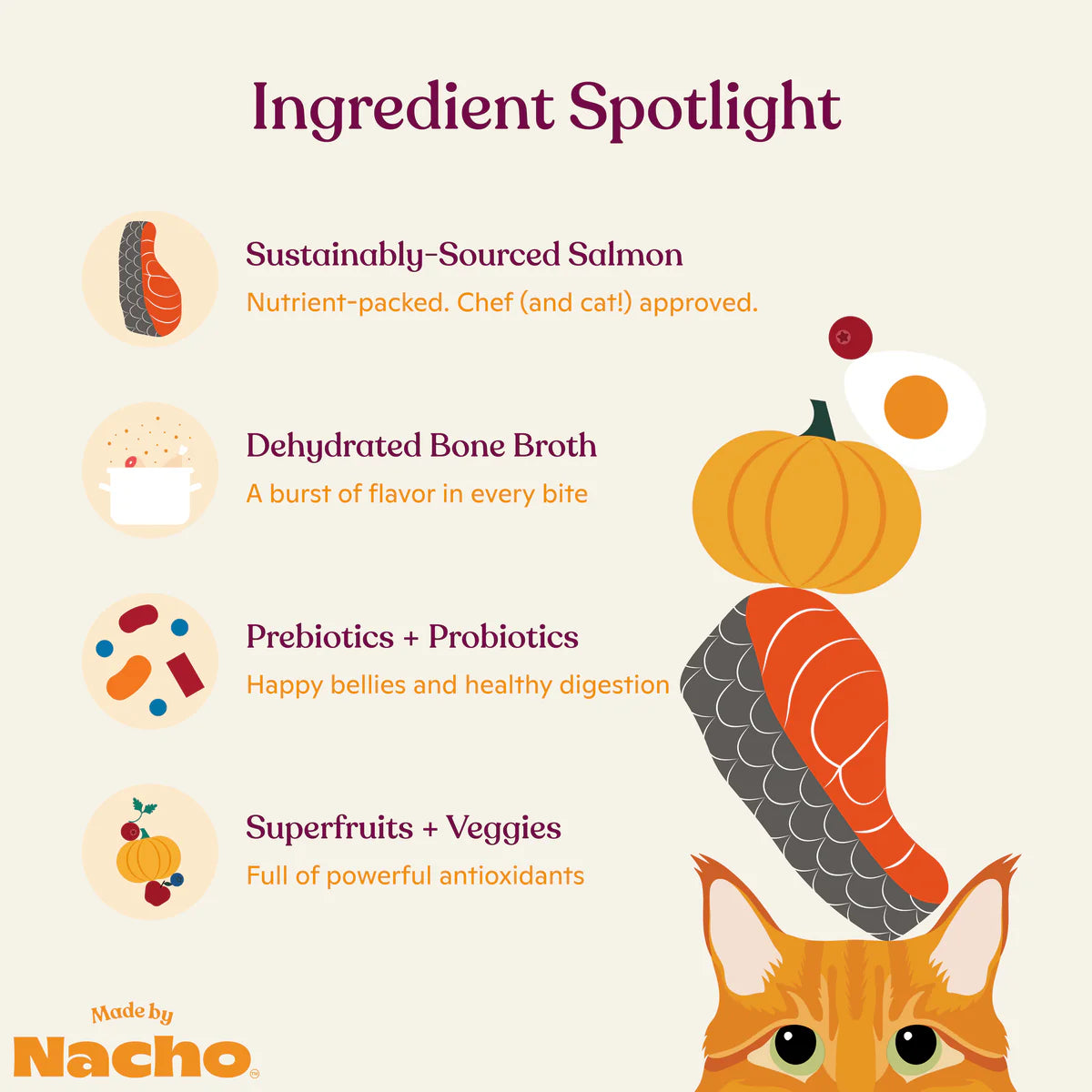 Made By Nacho Bone Broth Infused Kibble Sustainably Caught Salmon & Pumpkin Recipe - 4 lb.