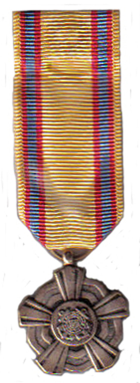 Vanguard Mini Medal USCG Aux Public Sustained Service Award