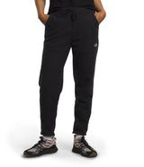 The North Face Womens Alpine Polartec 100 Pants