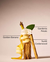 Bath & Body Works Fragrance Mist - Dreaming Of Rio