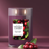 Yankee Candle Large Tumbler Candle - Cranberry Chutney