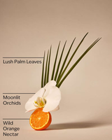 Bath & Body Works Wallflowers Fragrance Refill - Canopy Dreams