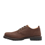 Timberland Mens Redwood Falls Lace-Up Waterproof Shoe