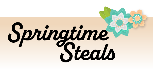 Text 'Springtime Steals' with decorative flowers on a beige background