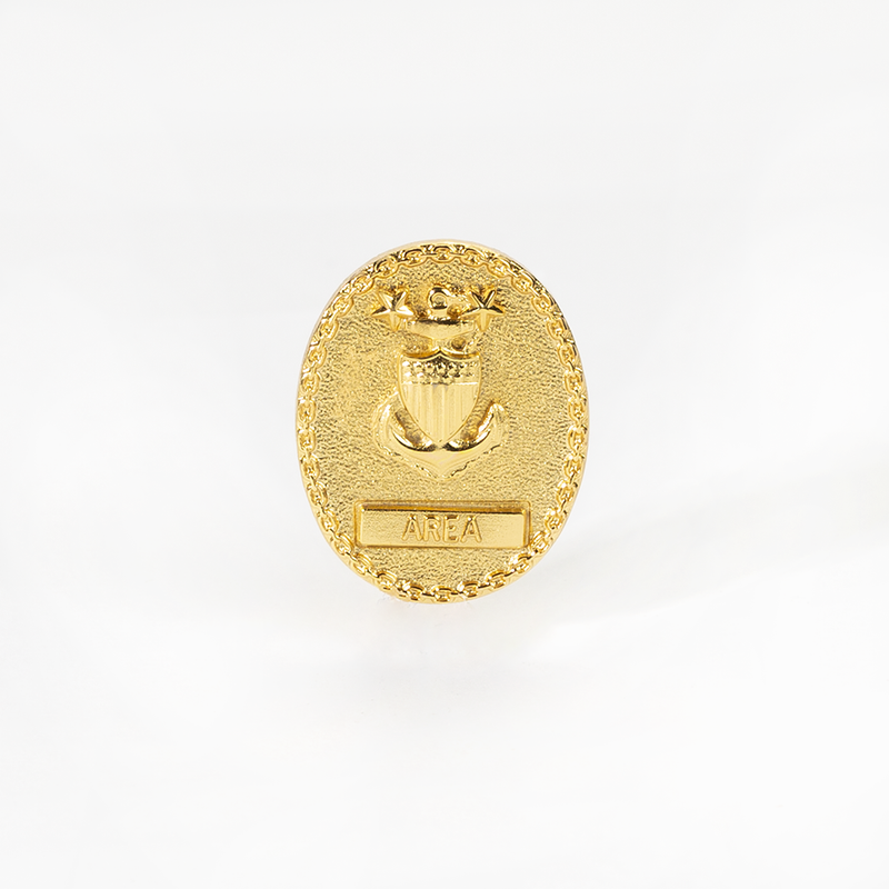 Vanguard CG Badge MIN Gold SR EM Advisor E-9 Area