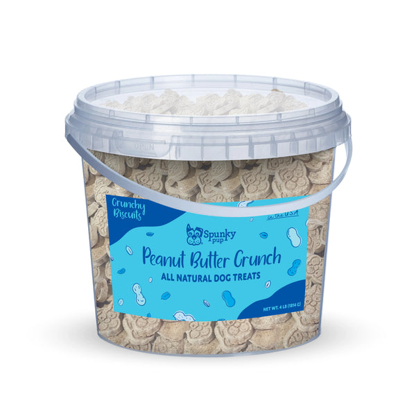 Spunky Pup Bucket of Biscuits Peanut Butter Crunch Dog Treats - 4 lbs.