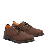 Timberland Mens Redwood Falls Lace-Up Waterproof Shoe