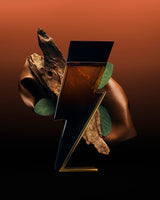 Carolina Herrera Bad Boy Elixir Eau de Parfum Spray - 3.4 oz.