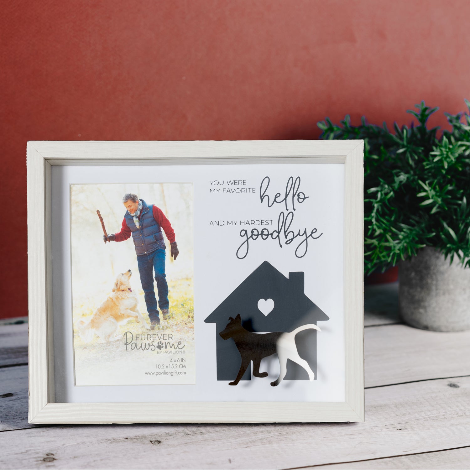 Pavilion Dog Goodbye 9.5" x 7.5" Shadow Box Frame