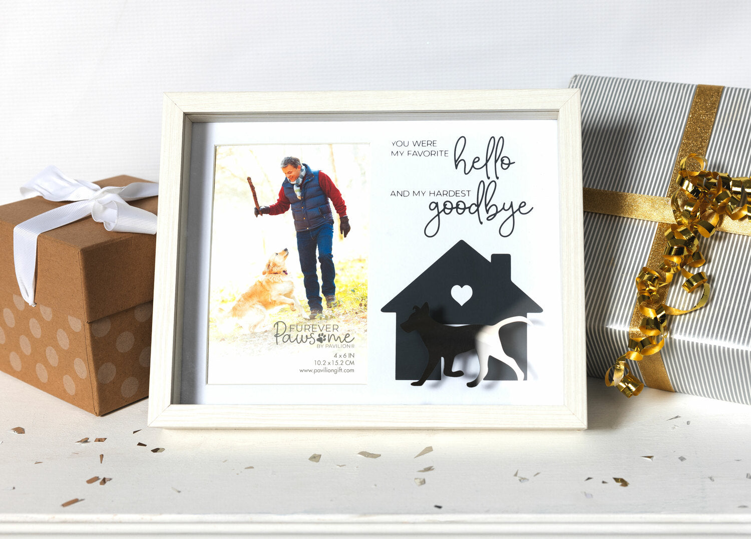 Pavilion Dog Goodbye 9.5" x 7.5" Shadow Box Frame