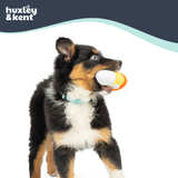 Huxley & Kent Tiny Tuff Kookie Korn Dog Toy