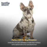 Huxley & Kent Tiny Tuff Kookie Korn Dog Toy