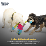 Huxley & Kent Lankies Gizmo Monster Dog Toy - Large