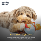 Huxley & Kent Lankies Feathertail Turkey Dog Toy - Large