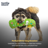 Huxley & Kent Fetchies Bruce Spruce Dog Toy - Large