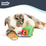 Huxley & Kent Tiny Tuff Rocky Around Tree Dog Toy