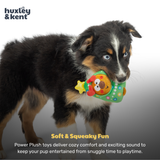 Huxley & Kent Tiny Tuff Rocky Around Tree Dog Toy