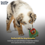 Huxley & Kent Tiny Tuff Rocky Around Tree Dog Toy