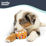 Huxley & Kent Tiny Tuff G-House Dog Toy