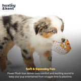 Huxley & Kent Tiny Tuff G-House Dog Toy