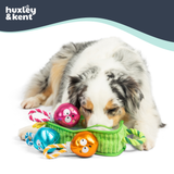 Huxley & Kent Hunt 'N Squeak X-Mas Tree Dog Toy