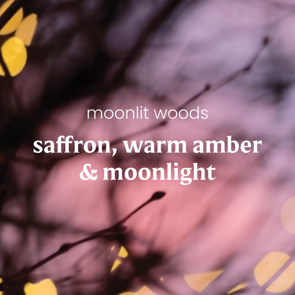 Yankee Candle ScentPlug Refill - Moonlit Woods