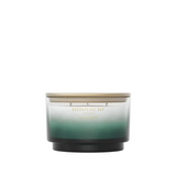 Chesapeake Bay Candle 3-Wick Candle - Coastal Snowfall