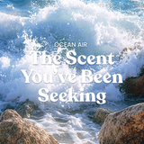 Yankee Candle Original Large Jar Candle - Ocean Air