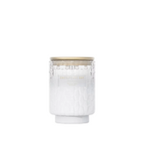 Chesapeake Bay Candle Medium Candle - Winter Sea