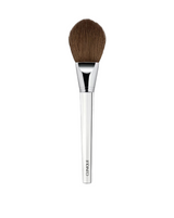 Clinique Powder Foundation Brush