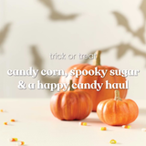Yankee Candle Original Jar Candle - Trick Or Treat