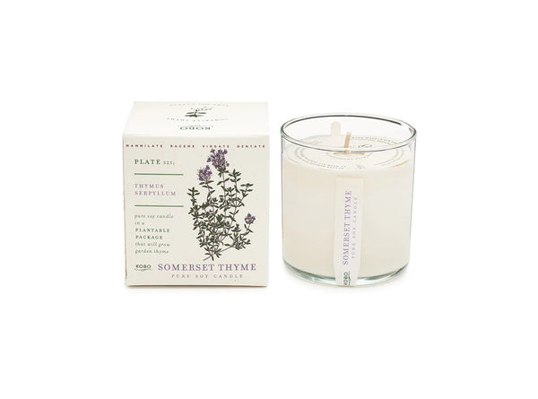 KOBO Somerset Thyme Plant The Box Pure Soy Candle - 9 oz.