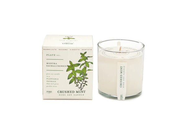 KOBO Crushed Mint Plant The Box Pure Soy Candle - 9 oz.