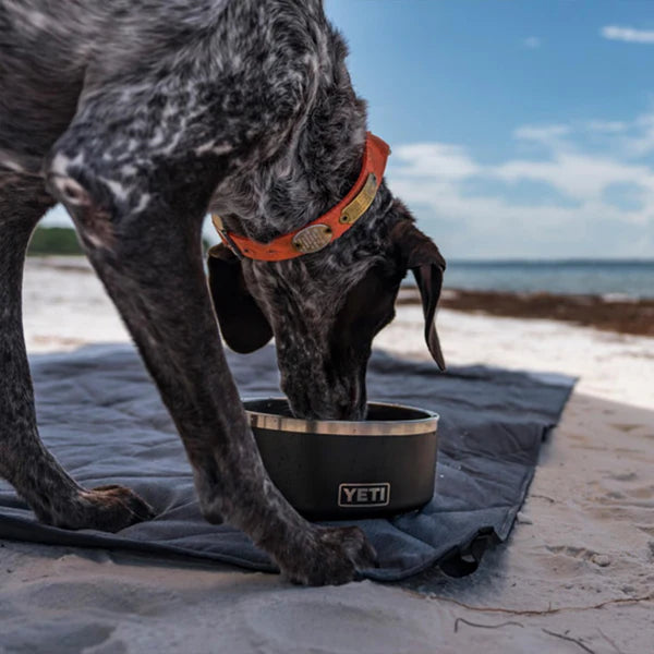 YET Boomer 8 Dog Bowl