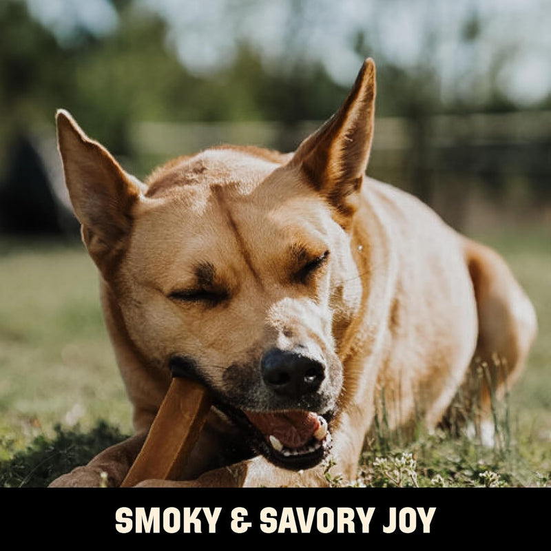 Barkworthies Hickory Smoked Yak Cheese - 2 ct.