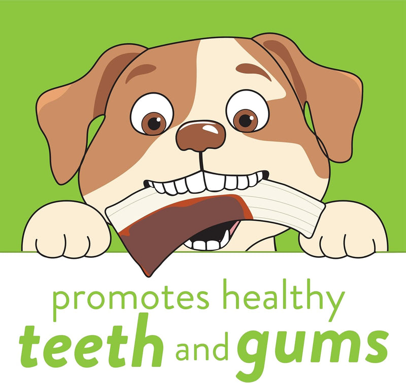 Spunky Pup Snack & Chew Antler Flavored Dog Chew Toy