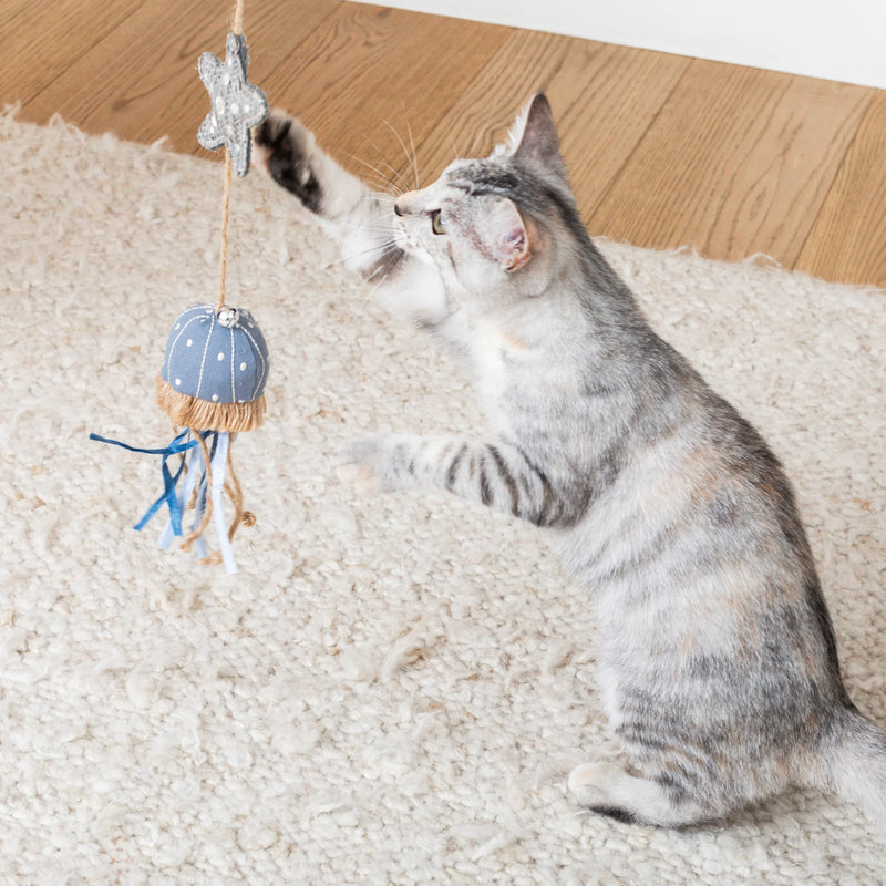 Petshop Ready For This Jelly? Earth Friendly Cat Toy