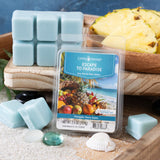 Candle Warmers Etc. Escape To Paradise Classic Wax Melts - 2.5 oz.