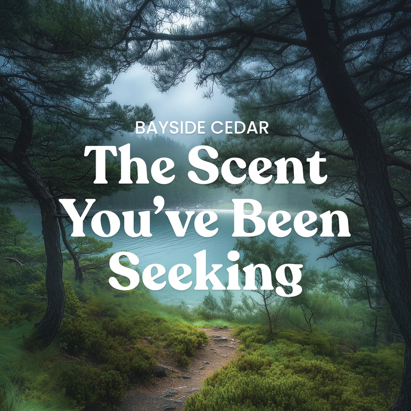 Yankee Candle Original Large Jar Candle - Bayside Cedar