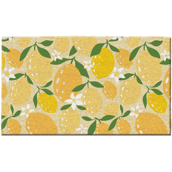 Design Imports Limon Doormat