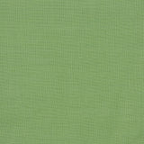 Design Imports Mistletoe Green Slub Placemat