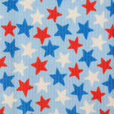 Design Imports Americana Printed Microfiber Dishtowel