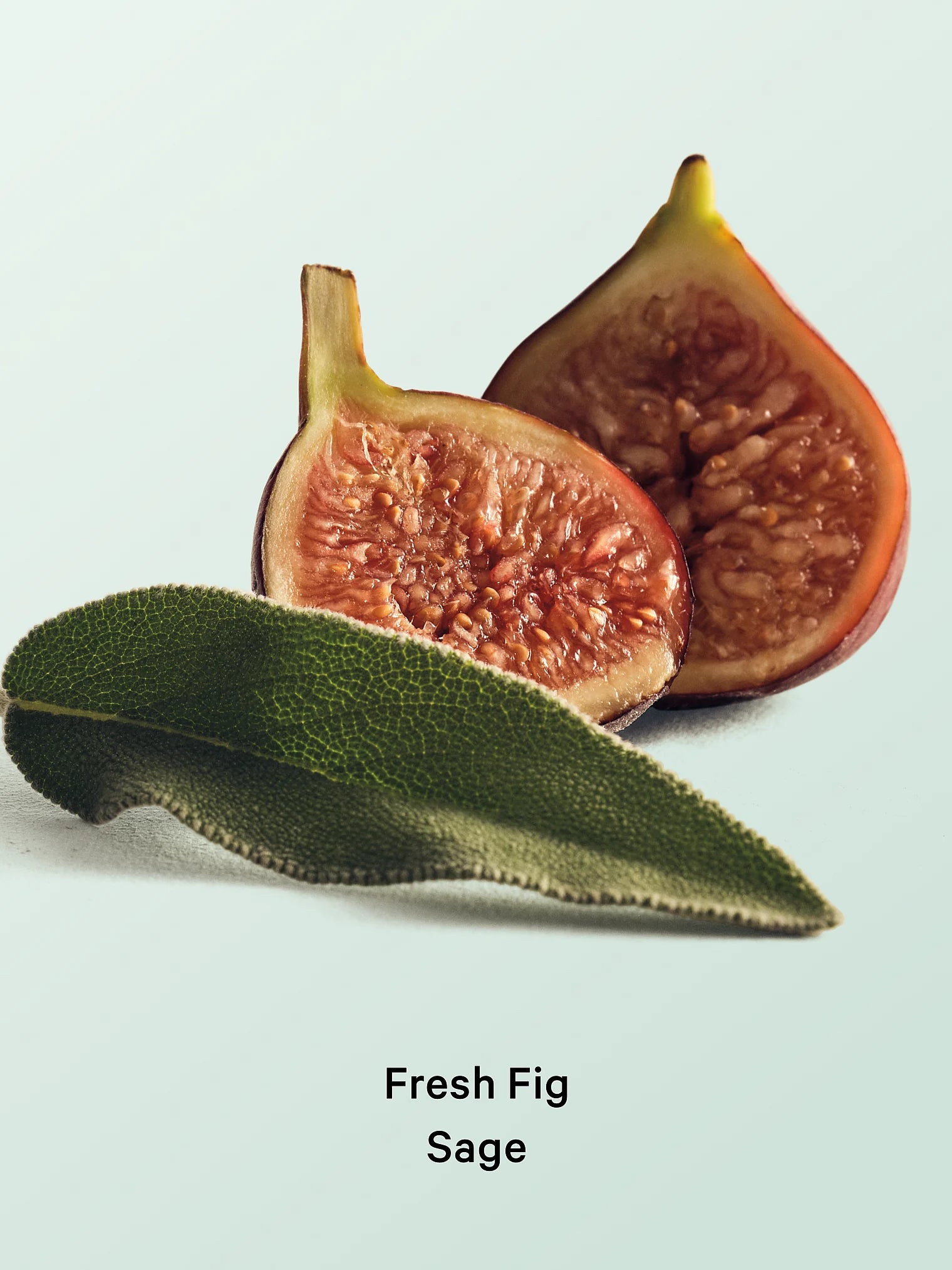 Victoria's Secret Fresh Fig Sage Hair & Body Mist