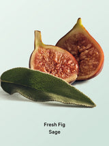 Victoria's Secret Fresh Fig Sage Hair & Body Mist