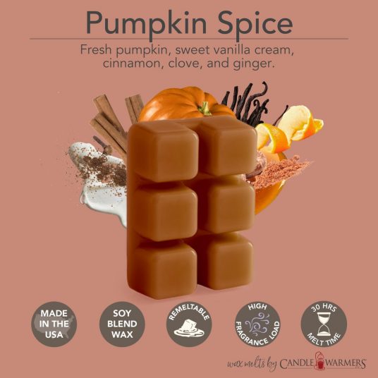 Candle Warmers Etc. Pumpkin Spice Classic Wax Melts - 2.5 oz.