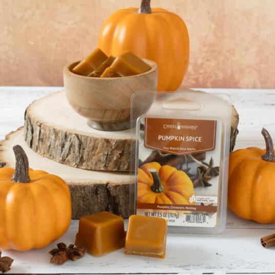 Candle Warmers Etc. Pumpkin Spice Classic Wax Melts - 2.5 oz.